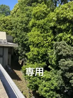 2026年最新】エステファクト3Dパーフェクタージェルの人気アイテム