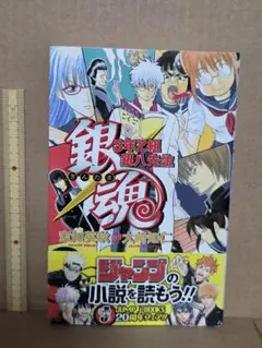 銀魂 3年Z組銀八先生　小説 番外編