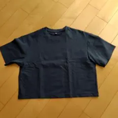 Item thumbnail for item e8ef2031-da14-4de8-a583-8a470f89b7dd