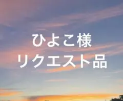 ひよこ様 リクエスト 4点 まとめ商品