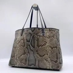 SILVANO BIAGINI パイソン スティングレイ トートバック - メルカリ