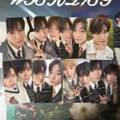 ジェヒ トレカ ケミトレカ wishlist セット