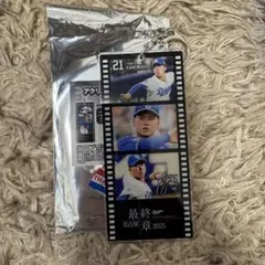 金丸夢斗　最終章　アクリルキーホルダー　ドラゴンズガチャ　シークレット　オーロラ