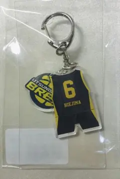 比江島慎　プレイヤーズアクリルキーホルダー 比江島慎 アクリルキーホルダー #6 - メルカリ