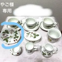 2026年最新】ワイルドストロベリー ミニチュアの人気アイテム - メルカリ