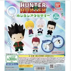 HUNTER×HUNTER めじるしアクセサリー ゴン