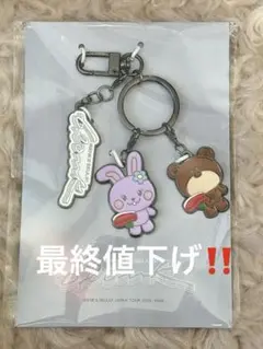 IRENE & SEULGI 会場限定 神戸 キーホルダー　兵庫　アスル