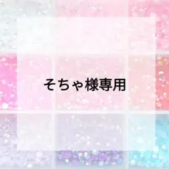 そちゃ様専用ページ