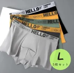 【Lサイズ／5枚組】ボクサーパンツ メンズ 前閉じ ストレッチ 通気性 快適下着