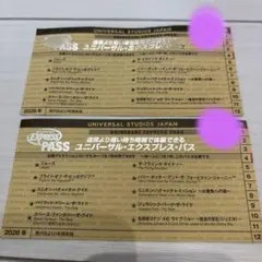 USJ ユニバーサル・エクスプレス・パス 2枚セット(2027年5月迄