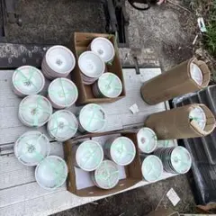 2025年最新】大清乾隆年製の人気アイテム - メルカリ