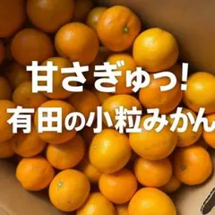ありだみかん、小粒、 箱込み 2kg（2S～3Sサイズ混合）