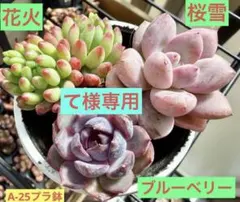 て様 リクエスト 2点 まとめ商品