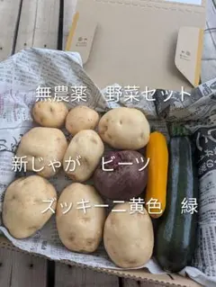 無農薬 野菜セット 新じゃが ビーツ ズッキーニ じゃがいも男爵 自然農のサムネイル
