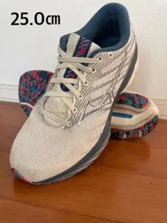 サ*ラ様 ランニングシューズ 25.0cm ベージュ/ネイビー/レッド