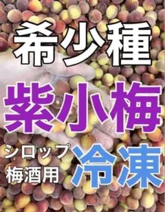 1012❄️クール便「冷凍紫小梅」2kg 青梅系　梅酒　シロップ用(梅干し不可)のサムネイル