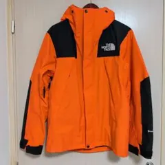 THE NORTH FACE GORE-TEX マウンテンジャケット Mサイズ