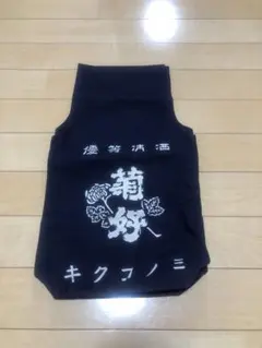 Item thumbnail for item 6d9b519d-fec3-4cd5-80de-12b3f8253ca2