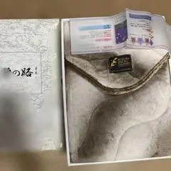 Item thumbnail for item 93eba5e3-324d-42da-8928-234eb4b2cc0e