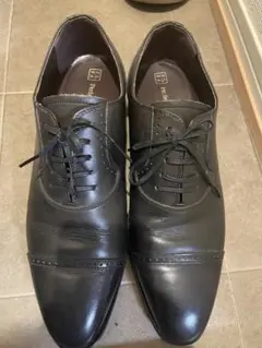 Item thumbnail for item e579a0ef-c0a8-4dc0-beb1-059a4967fe00