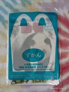 Item thumbnail for item 14af1e7a-0473-4ba0-9993-7734c0cc80be