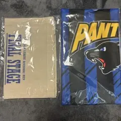 Item thumbnail for item 9cc701c0-e0af-44a9-ade1-fb0628cff22a