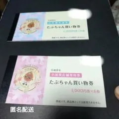 朝里 定山渓 手宮湯の花入浴回数券 10枚 - メルカリ