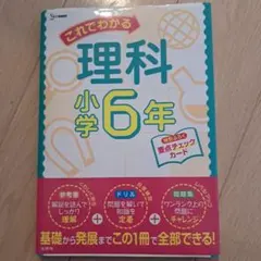ゆうこ♡コレクション出品中♡様 リクエスト 3点 まとめ商品