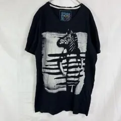 BERSHKA◇ゼブラプリント 半袖Tシャツ【M】ブラック　クルーネック　夏