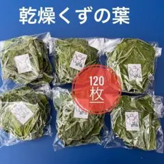 葛の葉　乾燥品　120枚　20枚入り個包装　小動物　おやつ用　リピート割引きありのサムネイル