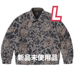 Item thumbnail for item 9dfa5e1e-8669-496a-865f-6cac74090506