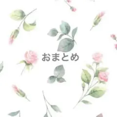 okara様 リクエスト 3点 まとめ商品