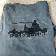 Patagonia パタゴニア 長袖Tシャツ S