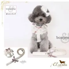 Item thumbnail for item dc3d47f4-cb2a-40cf-9288-f54c4ae33166