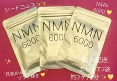 Item thumbnail for item 58612c8d-2b7f-4b63-a784-aad3042b7ee9