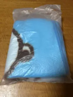 ミスド福袋ブランケットスヌーピー