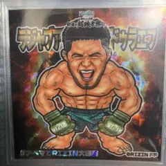 RIZIN シェイドゥラエフ シール ステッカー ビックリマン チョコ カード 2026年最新】シェイドゥラエフの人気アイテム - メルカリ