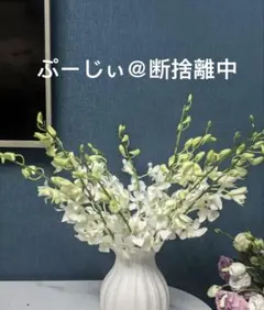 2枚 L ……ぷーじぃ＠断捨離中