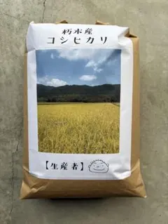 未開封 なまこっこ ヤング式腸もみ本家サロン 正規品 生穀菜食 - メルカリ