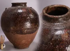 2025年最新】壺 古信楽の人気アイテム - メルカリ