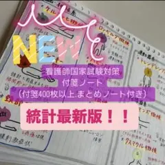 看護師国家試験対策　付箋ノート