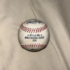 ダンズビー•スワンソン 直筆サイン入りボール/ Dansby Swanson - メルカリ