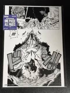 ONE PIECE BASE SHOP ALL PAGES 魚人島編 しらほし - メルカリ