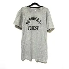 【Vintage】チャンピオン トリコタグ Tシャツ L 霜降り／MT21