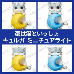 Item thumbnail for item a5dc0efb-c845-4728-80f9-e7e691806c30