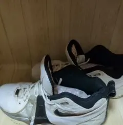 Item thumbnail for item 3a2d7660-1d24-464f-a26f-0b3535b84d21