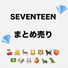 SEVENTEEN ︎︎まとめ売り ︎︎18点