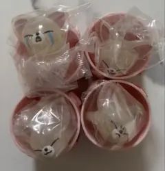 SKZOO ガチャ バースデーリング フォクシニー全4種コンプリートセット