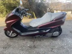 マジェスティ250C 格安価格のサムネイル