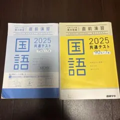 共通テスト対策実力完成直前演習　国語